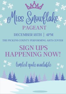  Miss Snowflake Entry Fee